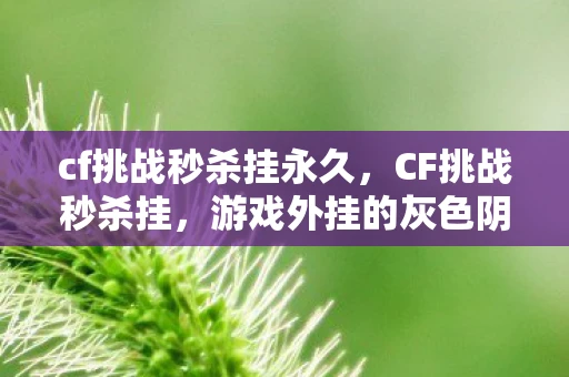 cf挑战秒杀挂永久，CF挑战秒杀挂，游戏外挂的灰色阴影