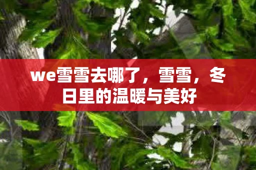 we雪雪去哪了，雪雪，冬日里的温暖与美好