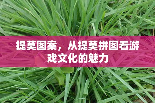 提莫图案,从提莫拼图看游戏文化的魅力 提莫图案,从提莫拼图看游戏文化的魅力