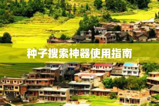 种子搜索神器使用指南图片