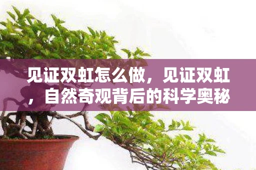见证双虹怎么做，见证双虹，自然奇观背后的科学奥秘