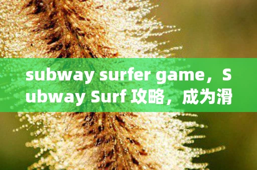 subway surfer game，Subway Surf 攻略，成为滑板高手的必备指南