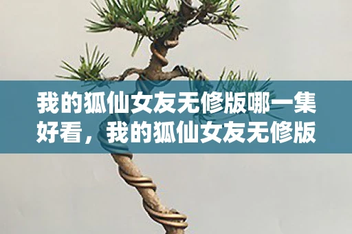 我的狐仙女友无修版哪一集好看，我的狐仙女友无修版，跨越种族的爱情传奇