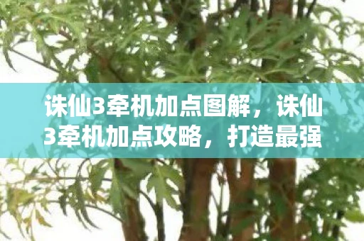 诛仙3牵机加点图解,诛仙3牵机加点攻略,打造最强牵机角色 诛仙3牵机加点图解,诛仙3牵机加点攻略,打造最强牵机角色