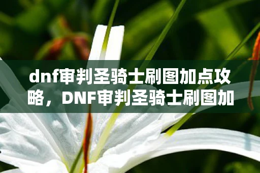 dnf审判圣骑士刷图加点攻略,DNF审判圣骑士刷图加点攻略 dnf审判圣骑士刷图加点攻略,DNF审判圣骑士刷图加点攻略