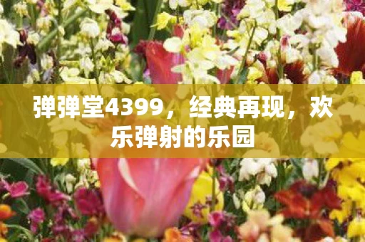 弹弹堂4399图片