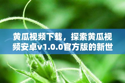 探索黄瓜视频安卓v1图片