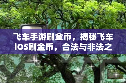 飞车手游刷金币，揭秘飞车iOS刷金币，合法与非法之间的灰色地带