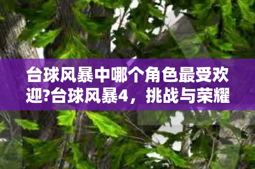 台球风暴中哪个角色最受欢迎?台球风暴4，挑战与荣耀的盛宴