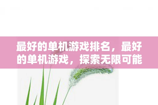最好的单机游戏排名，最好的单机游戏，探索无限可能的娱乐之旅