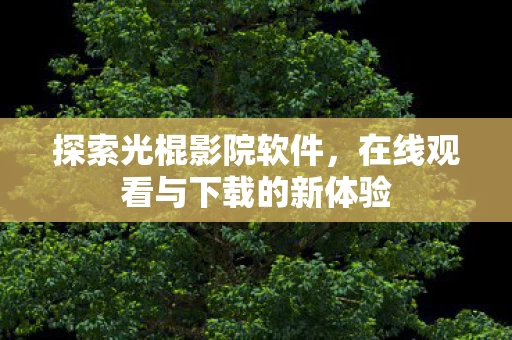 在线观看与下载的新体验图片