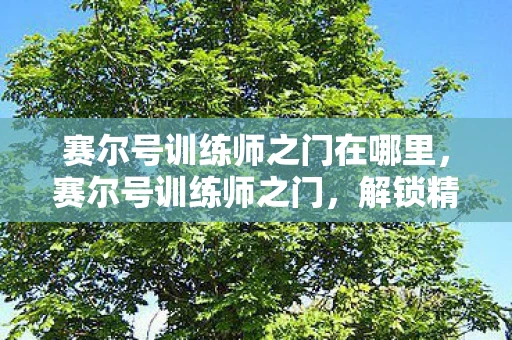 赛尔号训练师之门在哪里，赛尔号训练师之门，解锁精灵潜能的奥秘