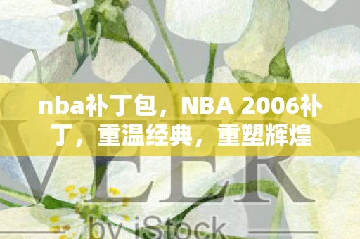 nba补丁包，NBA 2006补丁，重温经典，重塑辉煌