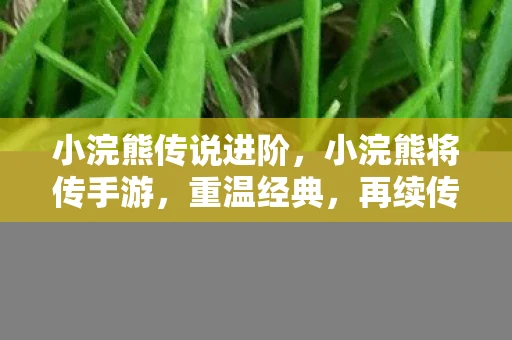 小浣熊传说进阶，小浣熊将传手游，重温经典，再续传奇