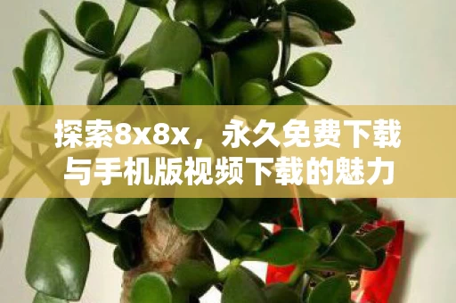 永久免费下载与手机版视频下载的魅力图片