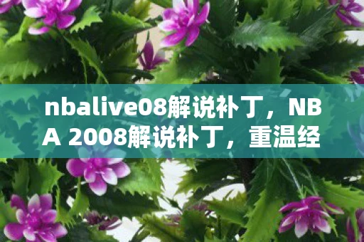 nbalive08解说补丁，NBA 2008解说补丁，重温经典，重温激情