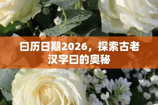 曰历日期2026，探索古老汉字曰的奥秘