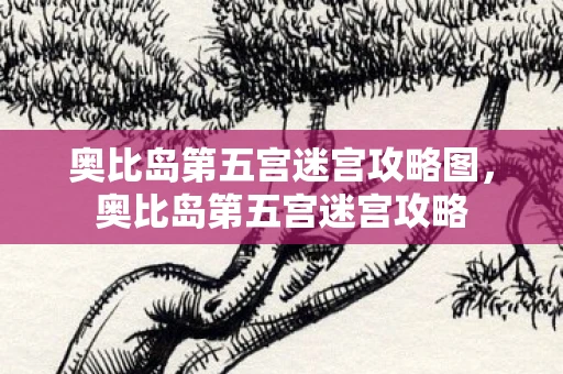 奥比岛第五宫迷宫攻略图,奥比岛第五宫迷宫攻略 奥比岛第五宫迷宫攻略图,奥比岛第五宫迷宫攻略