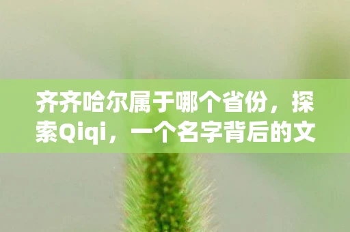 齐齐哈尔属于哪个省份，探索Qiqi，一个名字背后的文化故事