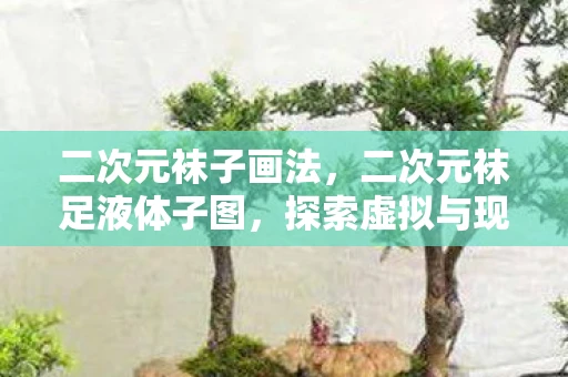 二次元袜子画法，二次元袜足液体子图，探索虚拟与现实的边界