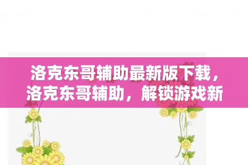 洛克东哥辅助最新版下载，洛克东哥辅助，解锁游戏新境界的必备神器