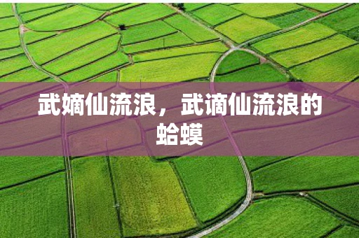 武嫡仙流浪，武谪仙流浪的蛤蟆