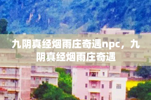 九阴真经烟雨庄奇遇npc，九阴真经烟雨庄奇遇