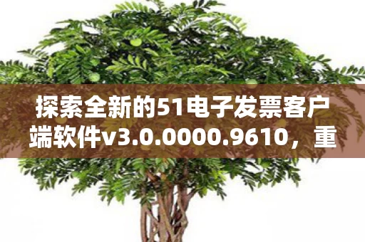 探索全新的51电子发票客户端软件v3图片