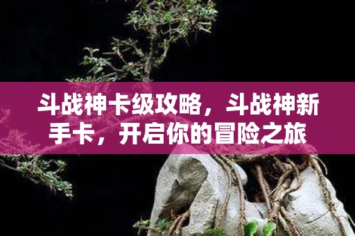 斗战神卡级攻略，斗战神新手卡，开启你的冒险之旅
