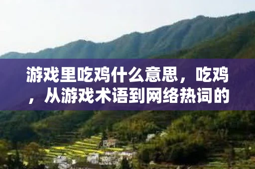 游戏里吃鸡什么意思，吃鸡，从游戏术语到网络热词的演变