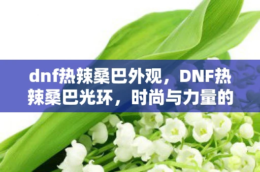 dnf热辣桑巴外观，DNF热辣桑巴光环，时尚与力量的完美融合