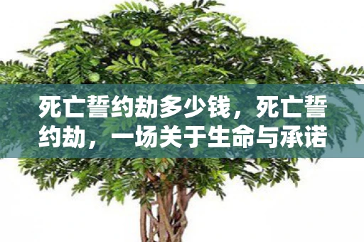死亡誓约劫多少钱,死亡誓约劫,一场关于生命与承诺的深刻探讨 死亡誓约劫多少钱,死亡誓约劫,一场关于生命与承诺的深刻探讨