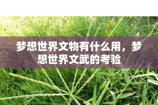梦想世界文物有什么用,梦想世界文武的考验 梦想世界文物有什么用,梦想世界文武的考验