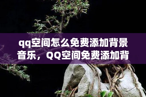 qq空间怎么免费添加背景音乐，QQ空间免费添加背景音全攻略