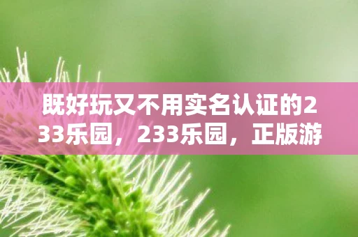 既好玩又不用实名认证的233乐园，233乐园，正版游戏的天堂，无需实名认证？