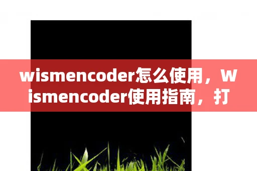 wismencoder怎么使用,Wismencoder使用指南,打造高效视频编辑体验 wismencoder怎么使用,Wismencoder使用指南,打造高效视频编辑体验