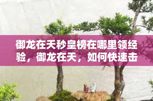 御龙在天秒皇榜在哪里领经验，御龙在天，如何快速击败皇榜BOSS