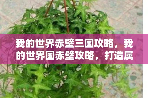 我的世界赤壁三国攻略，我的世界国赤壁攻略，打造属于你的赤壁传奇
