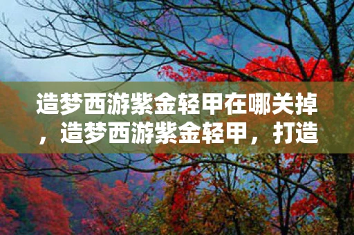 造梦西游紫金轻甲在哪关掉，造梦西游紫金轻甲，打造你的西游英雄梦