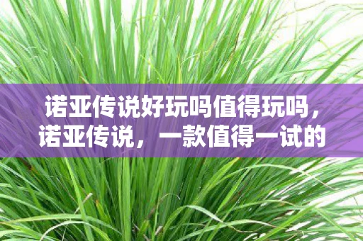 诺亚传说好玩吗值得玩吗，诺亚传说，一款值得一试的科幻网游