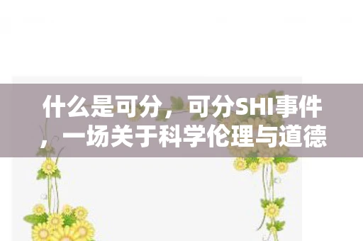 什么是可分,可分SHI事件,一场关于科学伦理与道德边界的探讨 什么是可分,可分SHI事件,一场关于科学伦理与道德边界的探讨