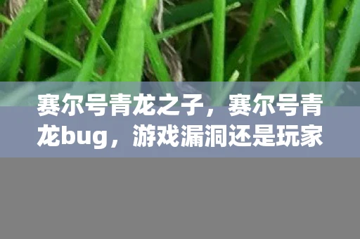 赛尔号青龙之子，赛尔号青龙bug，游戏漏洞还是玩家智慧？