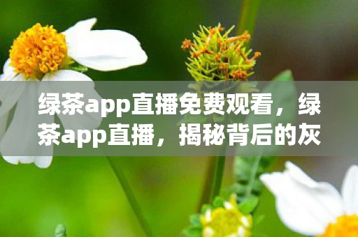绿茶app直播免费观看，绿茶app直播，揭秘背后的灰色产业链
