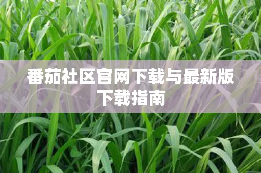 番茄社区官网下载与最新版下载指南图片