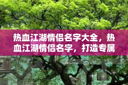 热血江湖情侣名字大全，热血江湖情侣名字，打造专属的浪漫符号