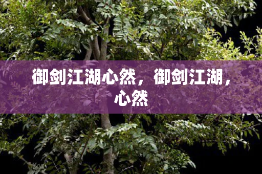 御剑江湖心然，御剑江湖，心然