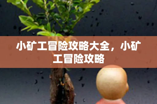 小矿工冒险攻略大全，小矿工冒险攻略