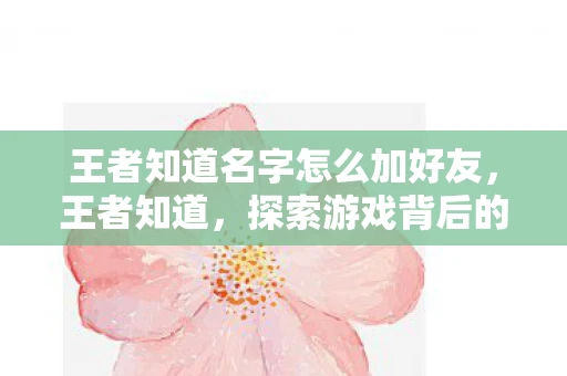 王者知道名字怎么加好友，王者知道，探索游戏背后的深层意义