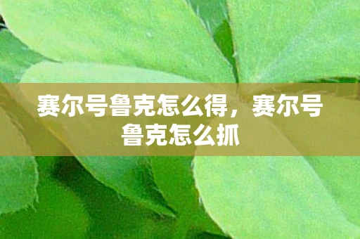 赛尔号鲁克怎么得,赛尔号鲁克怎么抓 赛尔号鲁克怎么得,赛尔号鲁克怎么抓