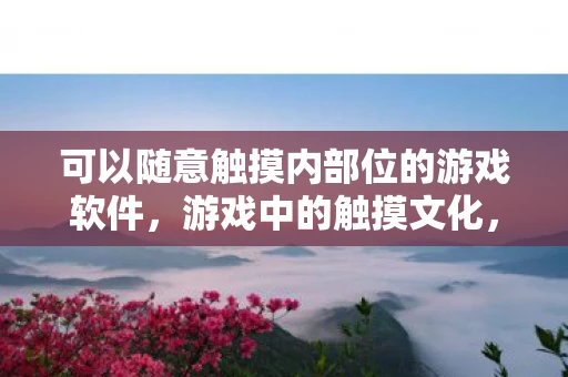 可以随意触摸内部位的游戏软件，游戏中的触摸文化，探索虚拟世界的界限